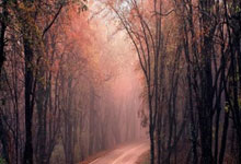 北京国安迎英超关键赛；清晨扳平良机；管理层满意；球队文化再被提及的简单介绍